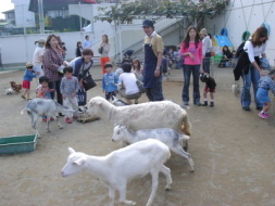 ふれあい動物園 移動動物園