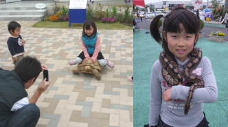 ふれあい動物園 移動動物園