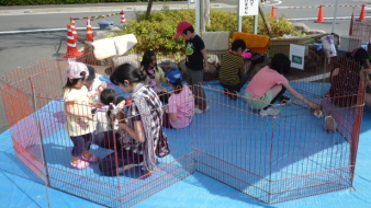 ふれあい動物園 移動動物園