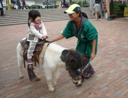 ポニー乗馬・ミニチュアホース乗馬